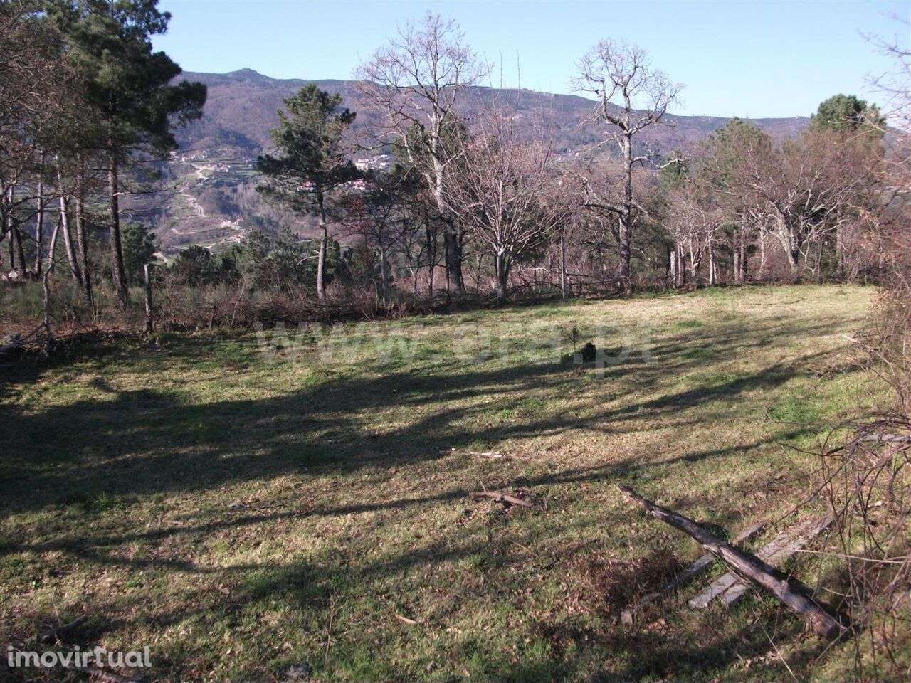 Terreno / Baião, Campelo e Ovil - Grande imagem: 5/7