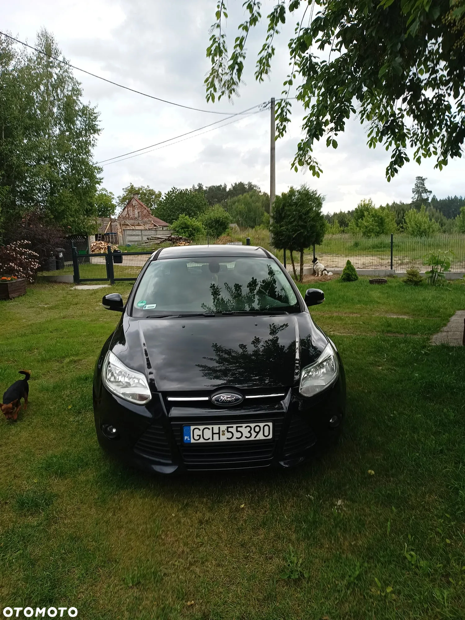 Ford Focus 1.6 EcoBoost Titanium - 3