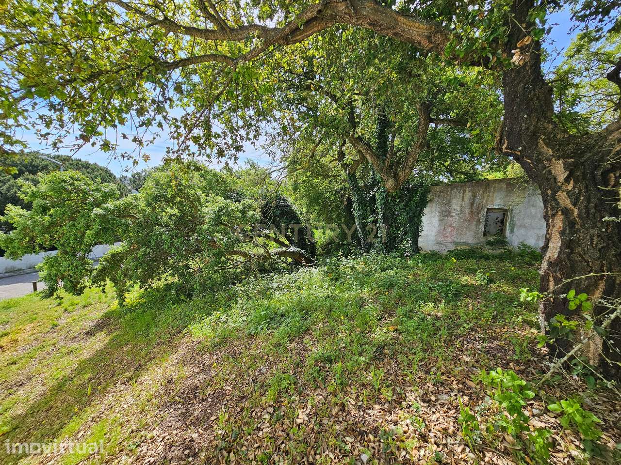 Lote de Terreno Urbano com 238m² para construção de moradia - Grande imagem: 5/19