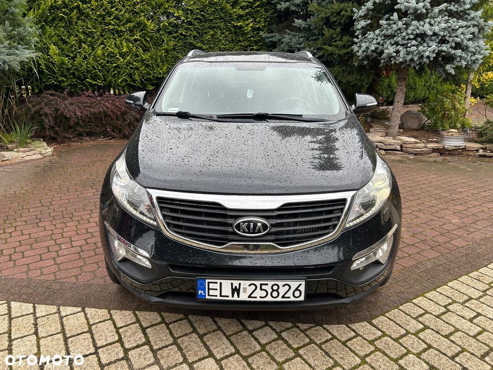 Kia Sportage - 39