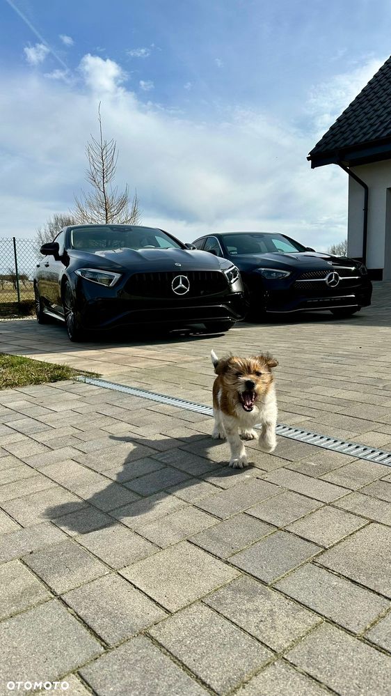 Mercedes-Benz CLS - 6