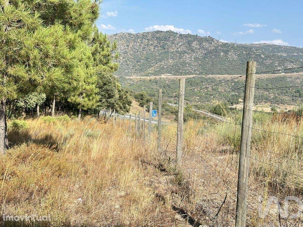 Terreno em Açores e Velosa de 49492,00 m2 - Grande imagem: 2/10