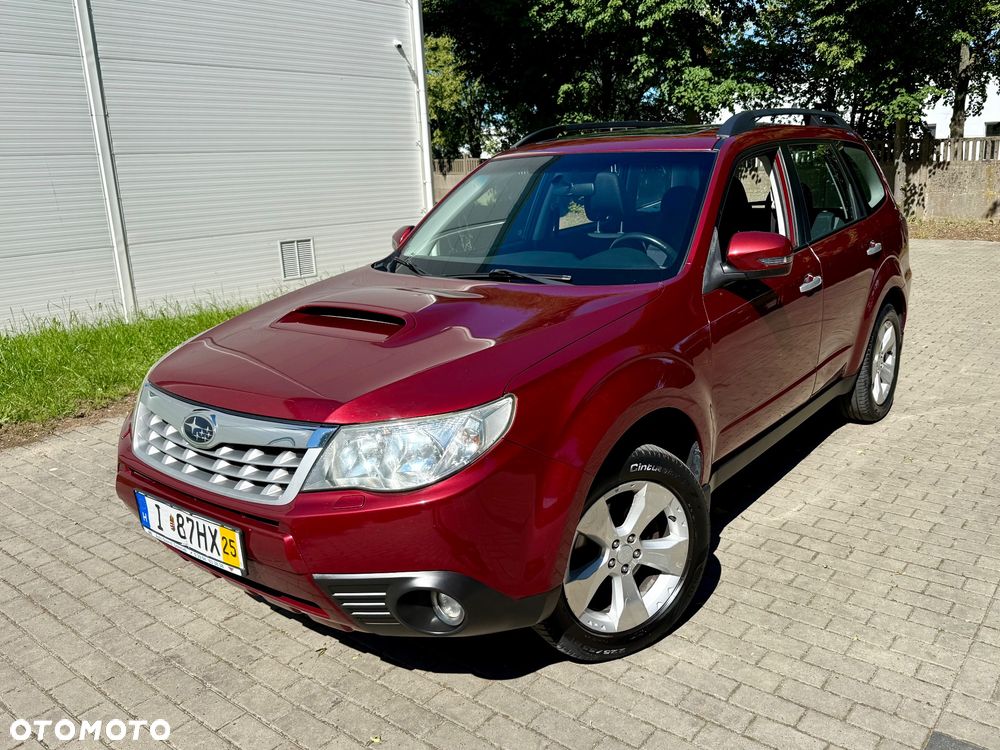 Subaru Forester - 13