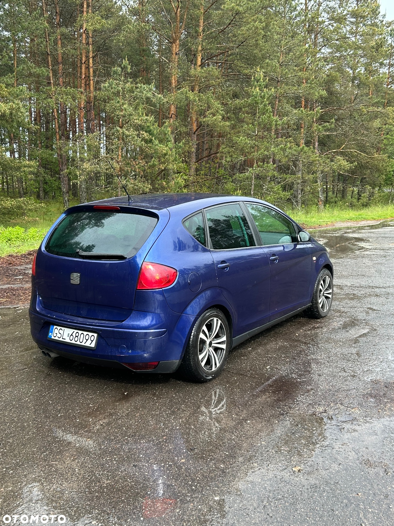 Seat Altea - 3