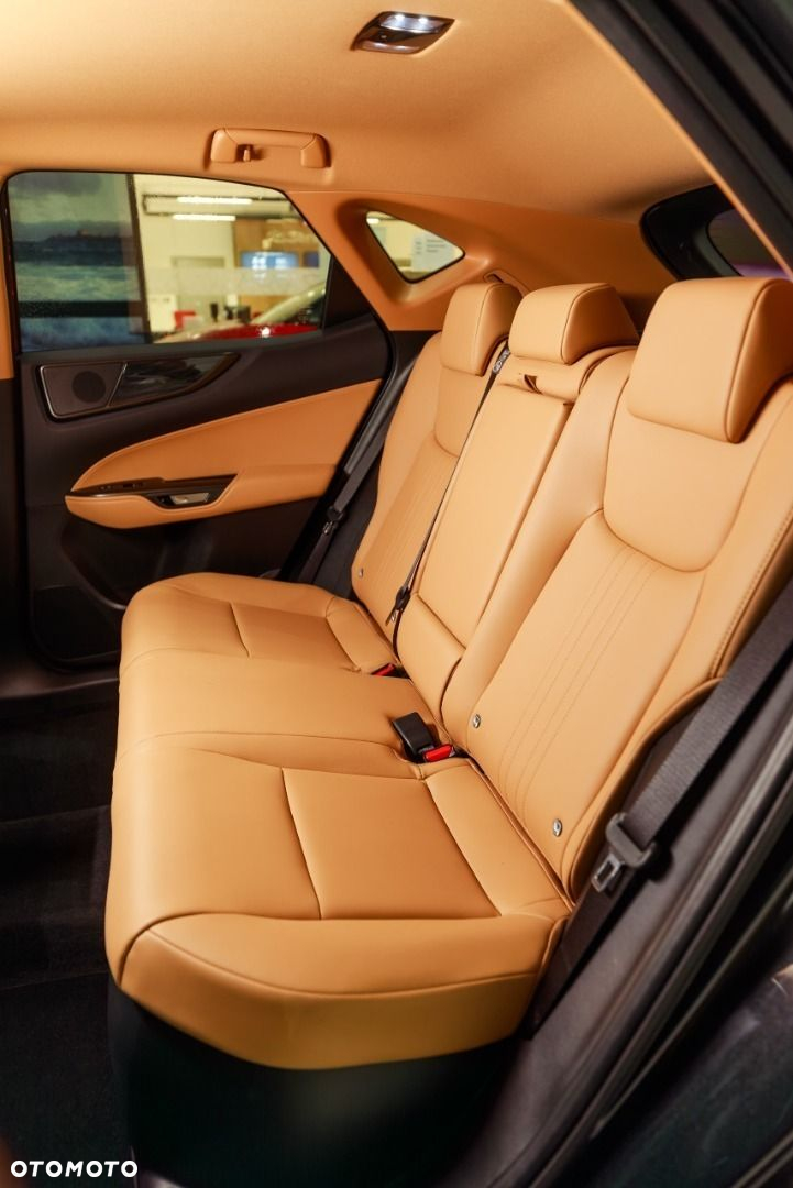 Lexus NX - 10
