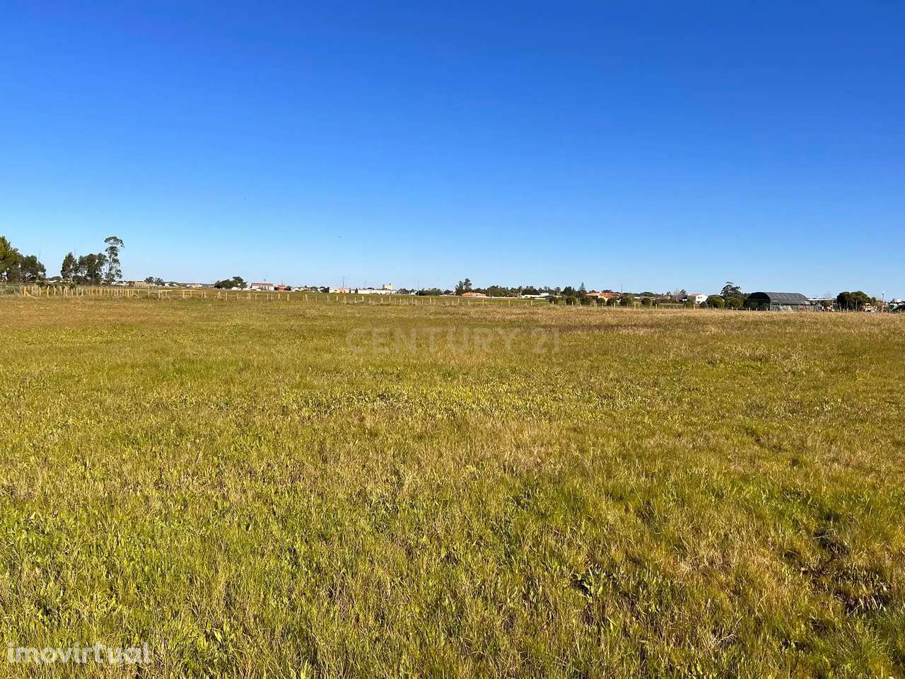 Terreno Rústico em Castelo Branco - Grande imagem: 4/4