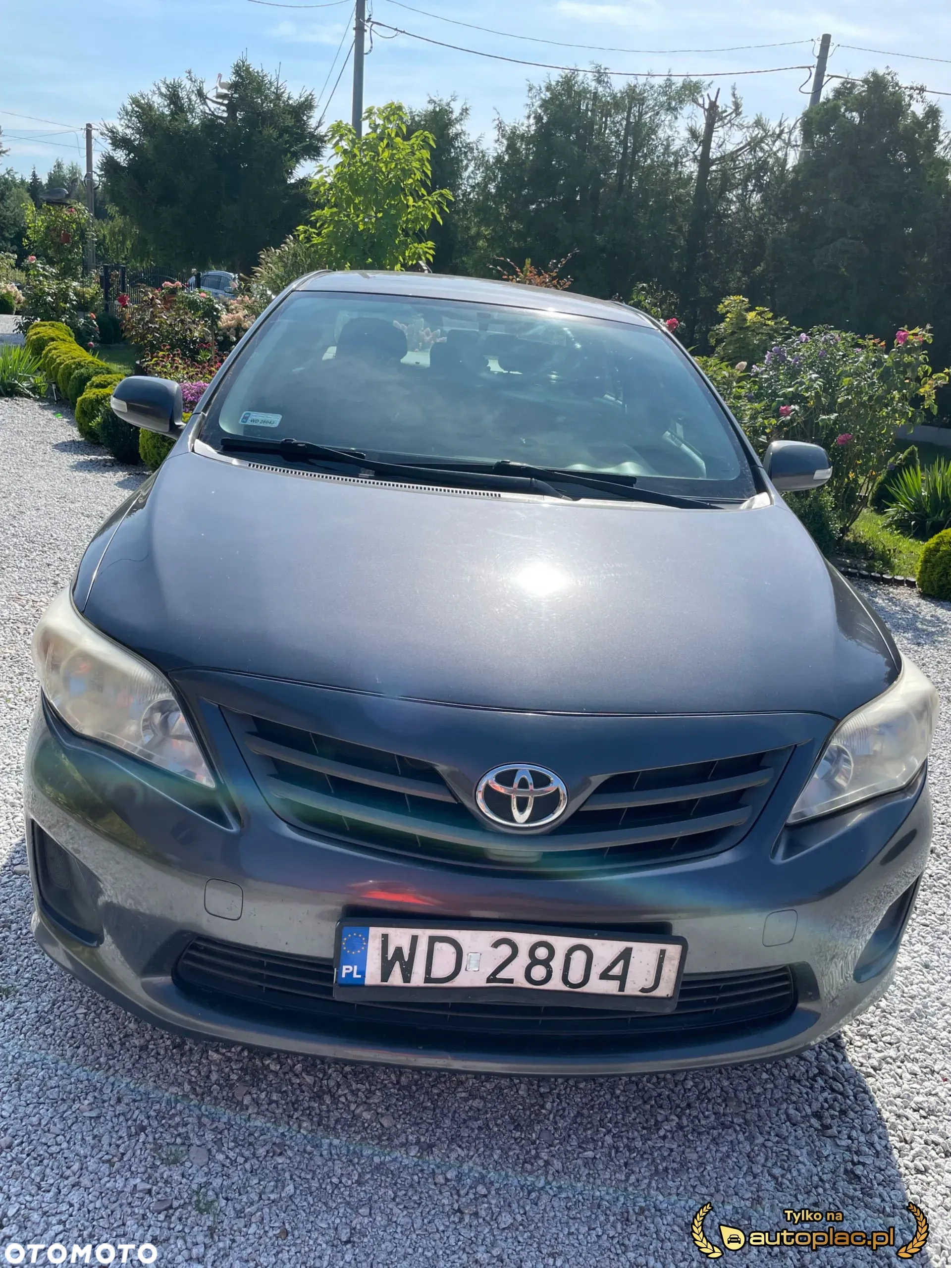 Toyota Corolla - 9