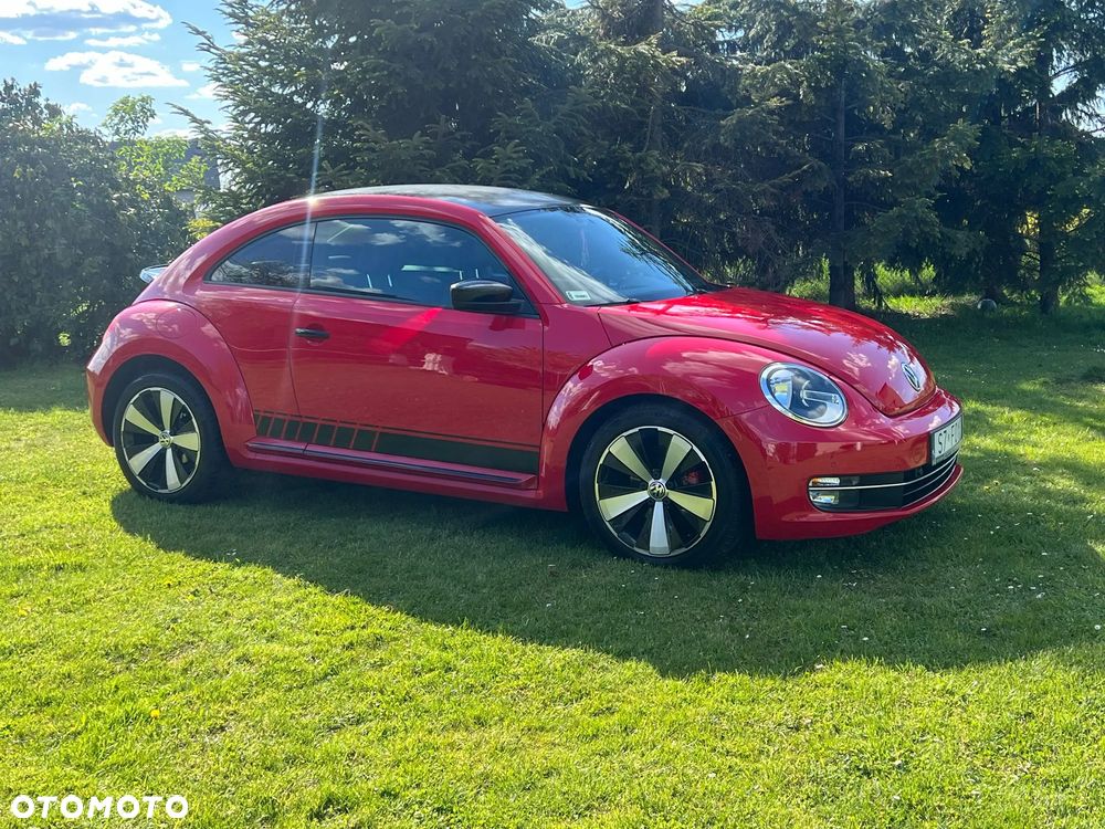 Volkswagen Beetle - 8