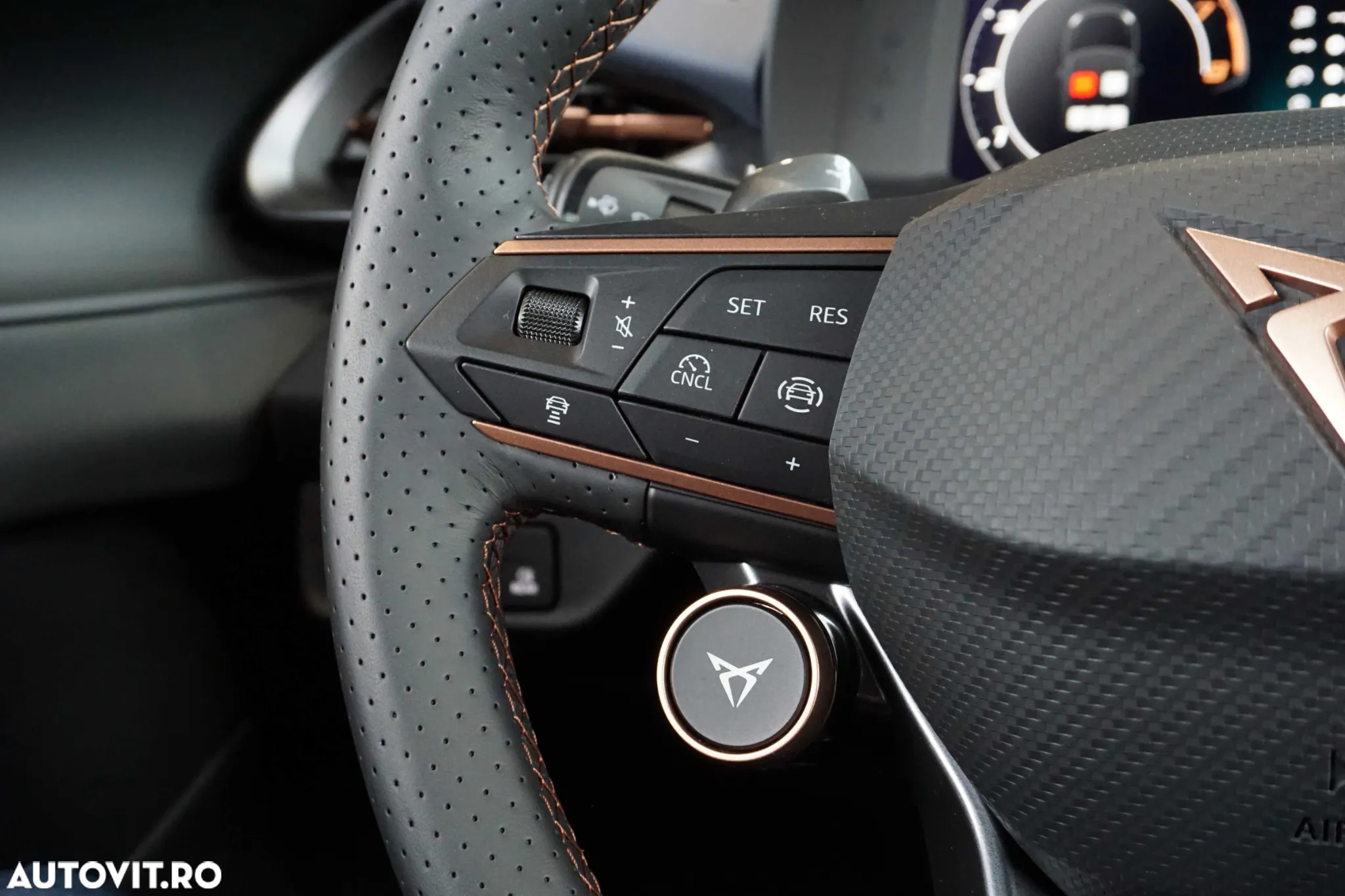 Cupra Terramar - 14