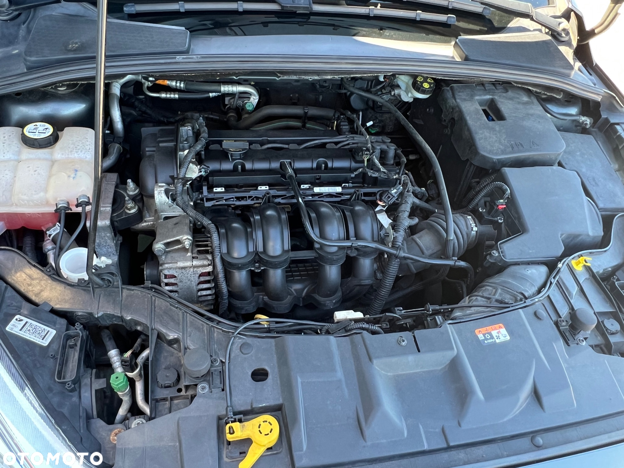 Ford Focus 1.6 Trend - 35