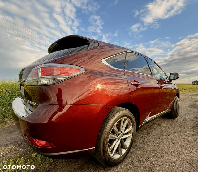Lexus RX - 21