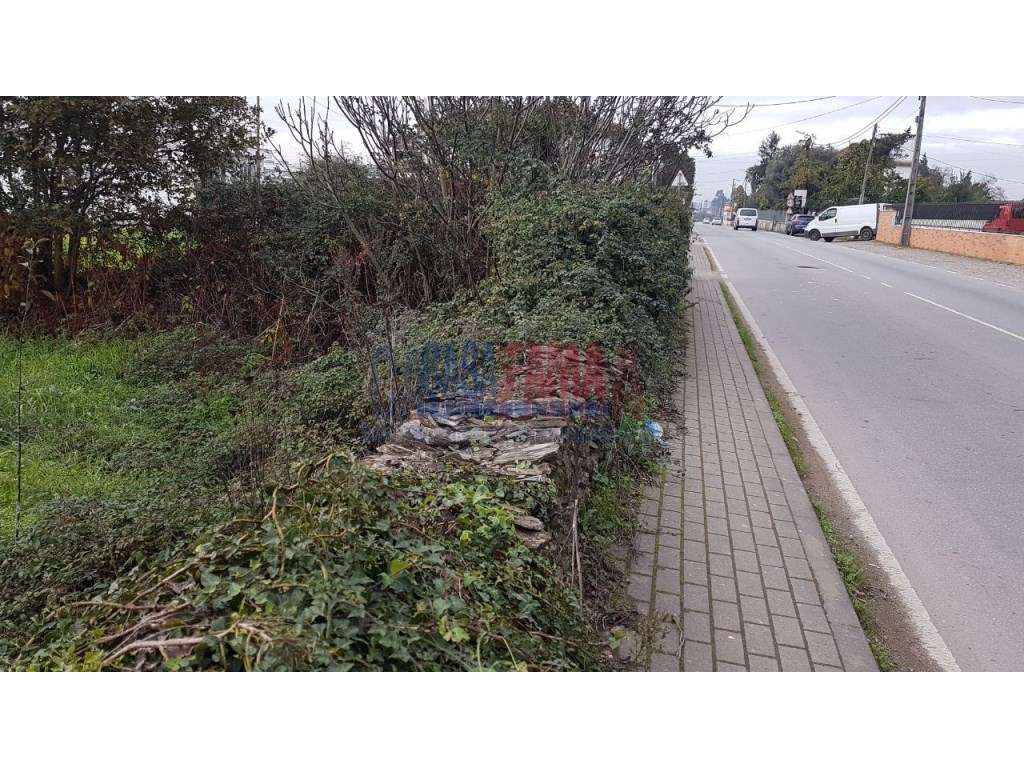 Terreno em Ribeirão - Vila Nova de Famalicão - Grande imagem: 2/4