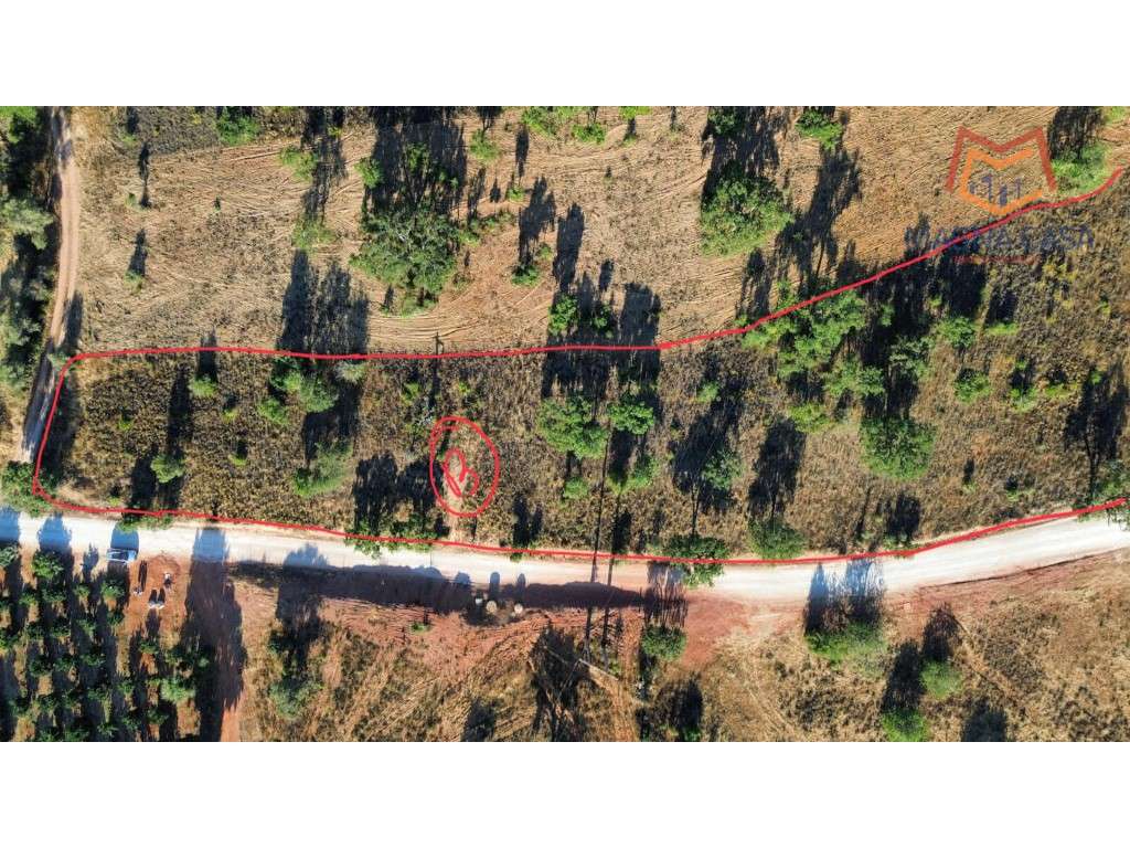 Terreno Alcantarilha, Silves, Algarve - Grande imagem: 2/6