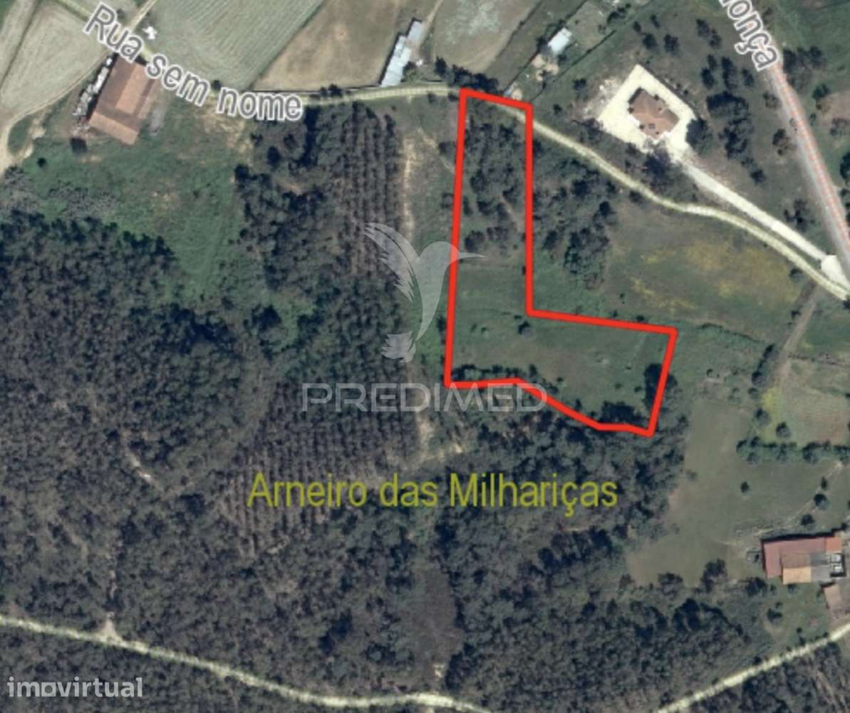 Terreno Rústico com 5.160 m² — Arneiro das Milhariças, Santarém - Grande imagem: 2/25