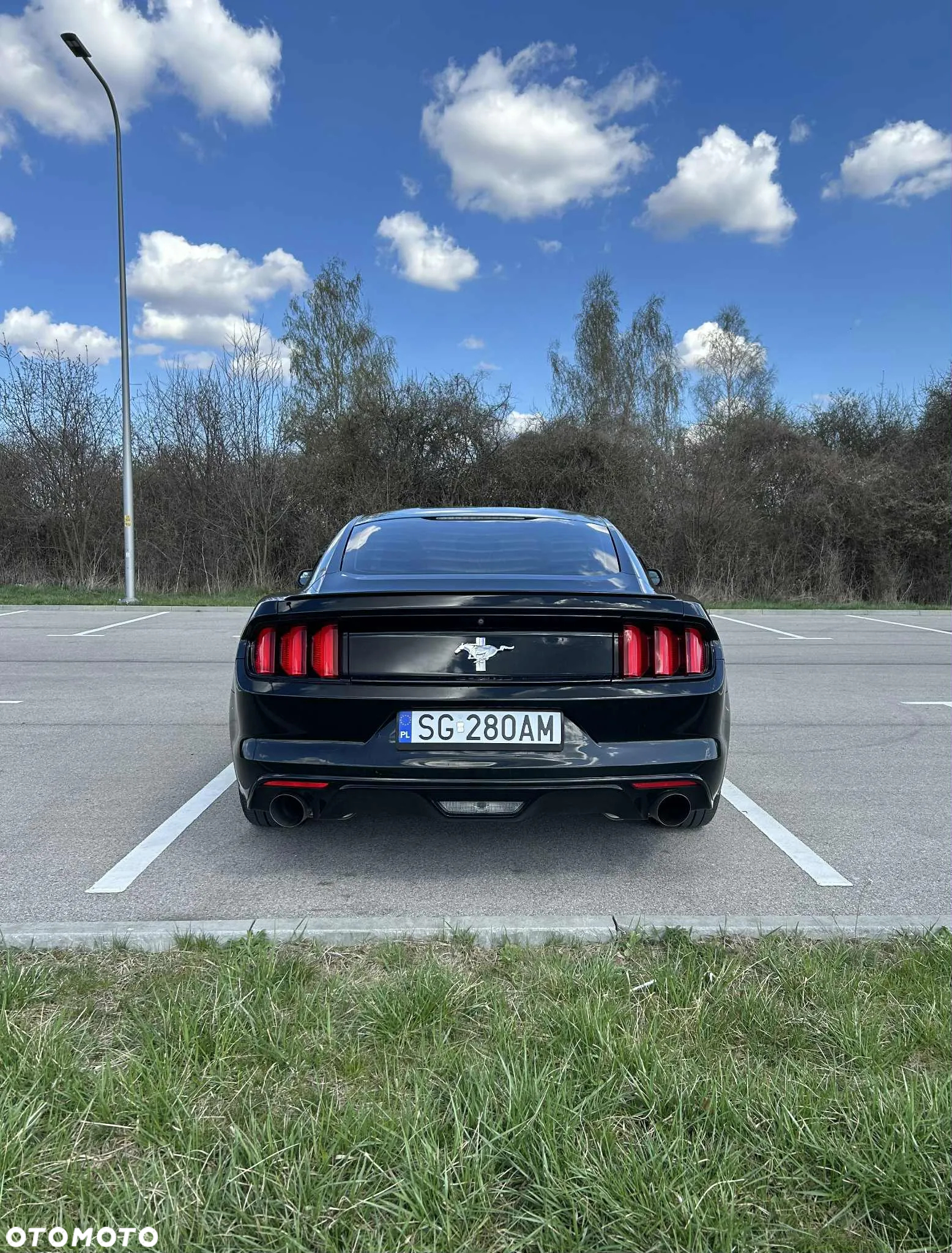 Ford Mustang 3.7 V6 - 6