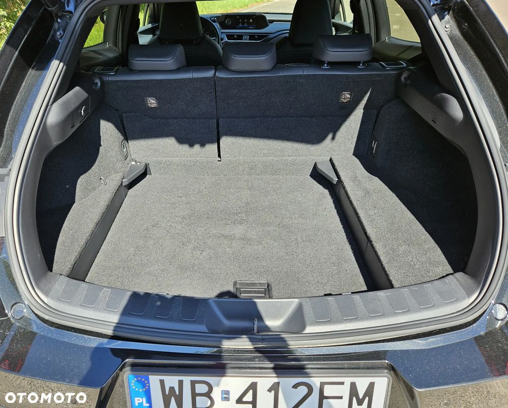 Lexus UX 250h GPF F Impression 2WD - 17