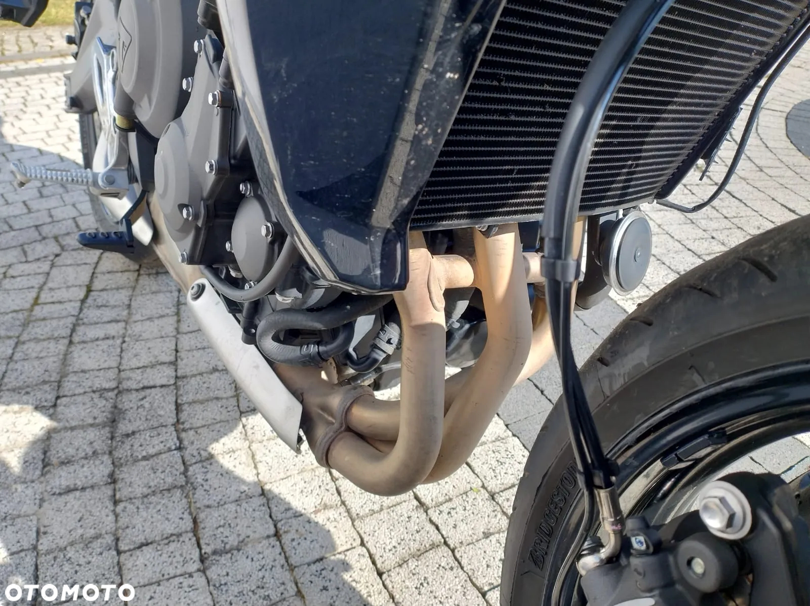 Triumph Tiger - 28