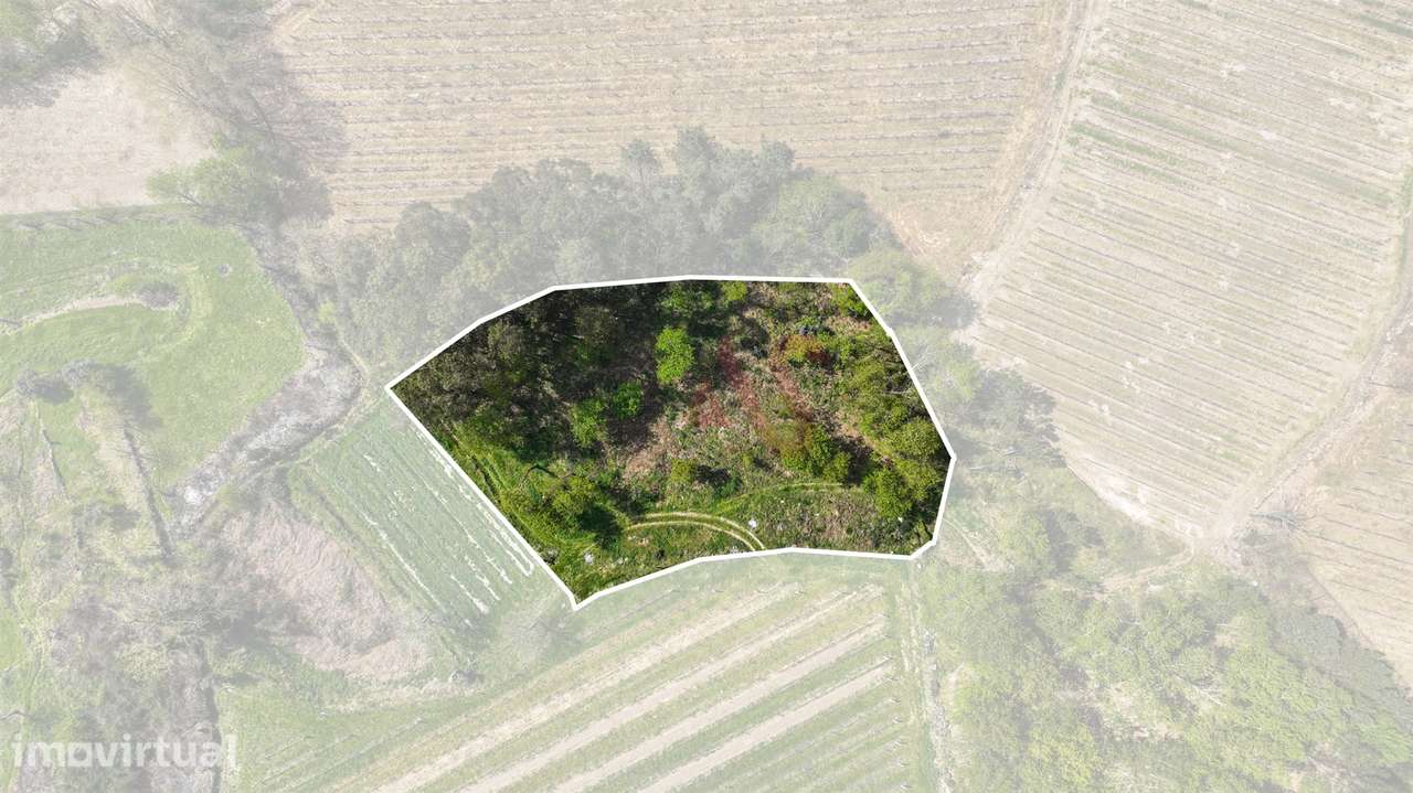 Terreno com 3.300 m² em Pedreira, Rande e Sernande, Felgueiras - Grande imagem: 2/13
