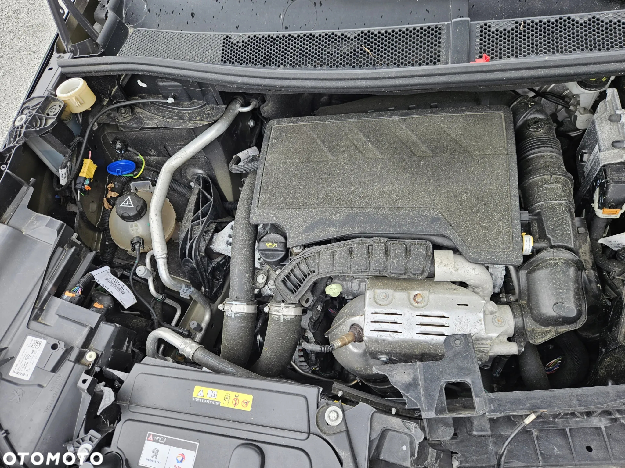 Peugeot 3008 PureTech 130 Stop & Start GPF EAT8 Active Pack - 13