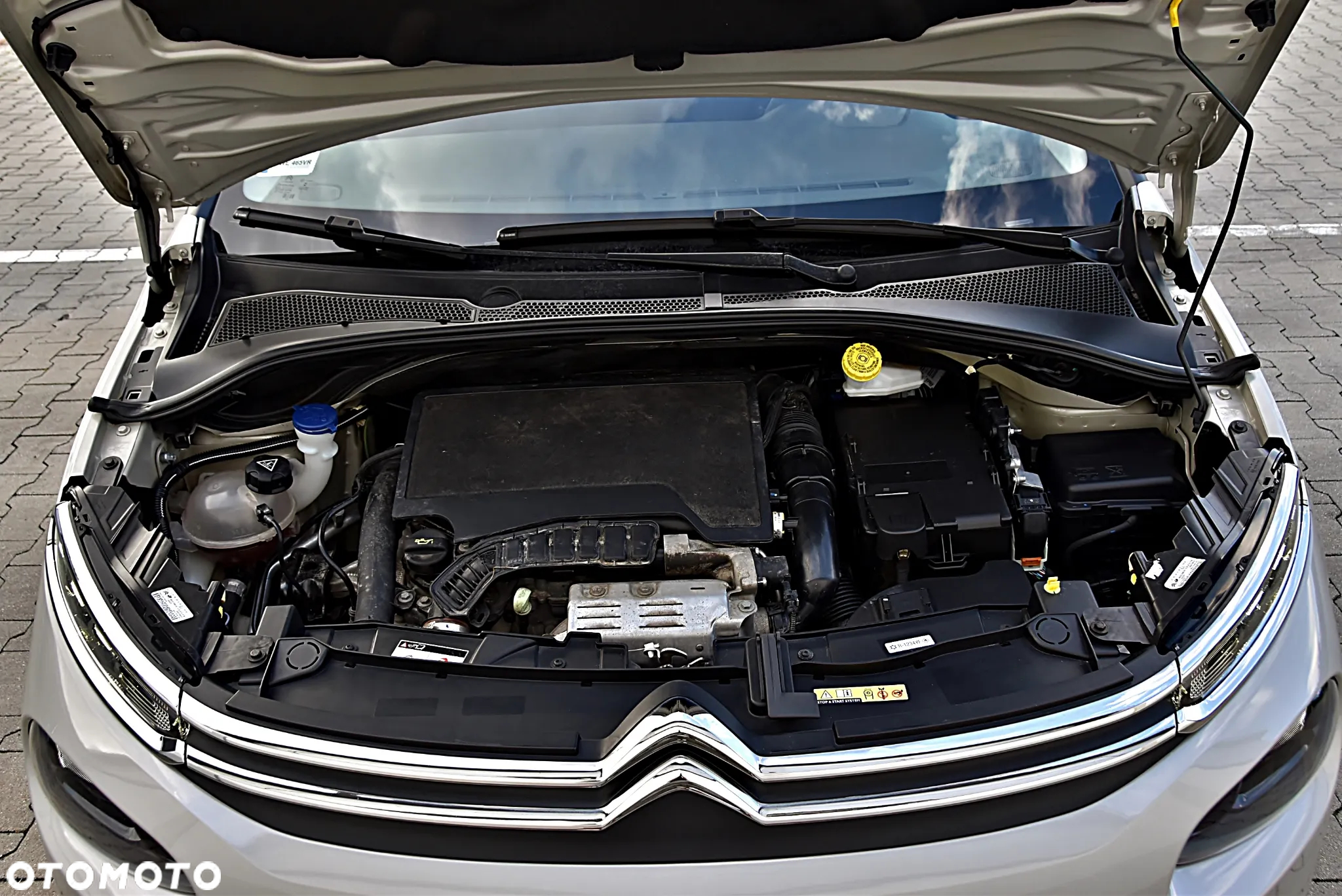 Citroën C3 1.2 PureTech Shine S&S EAT6 - 13