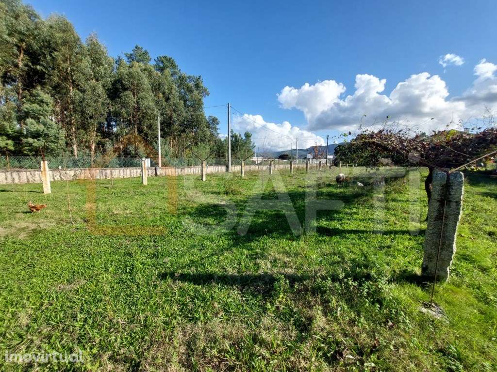 Terreno Construtivo - Grande imagem: 2/5