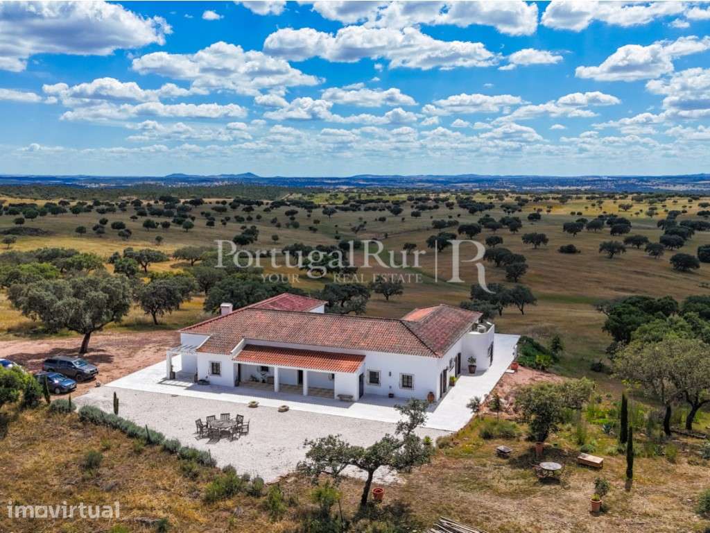 Quinta de 27 ha com Moradia T4 e Piscina no Alandroal - Grande imagem: 3/60