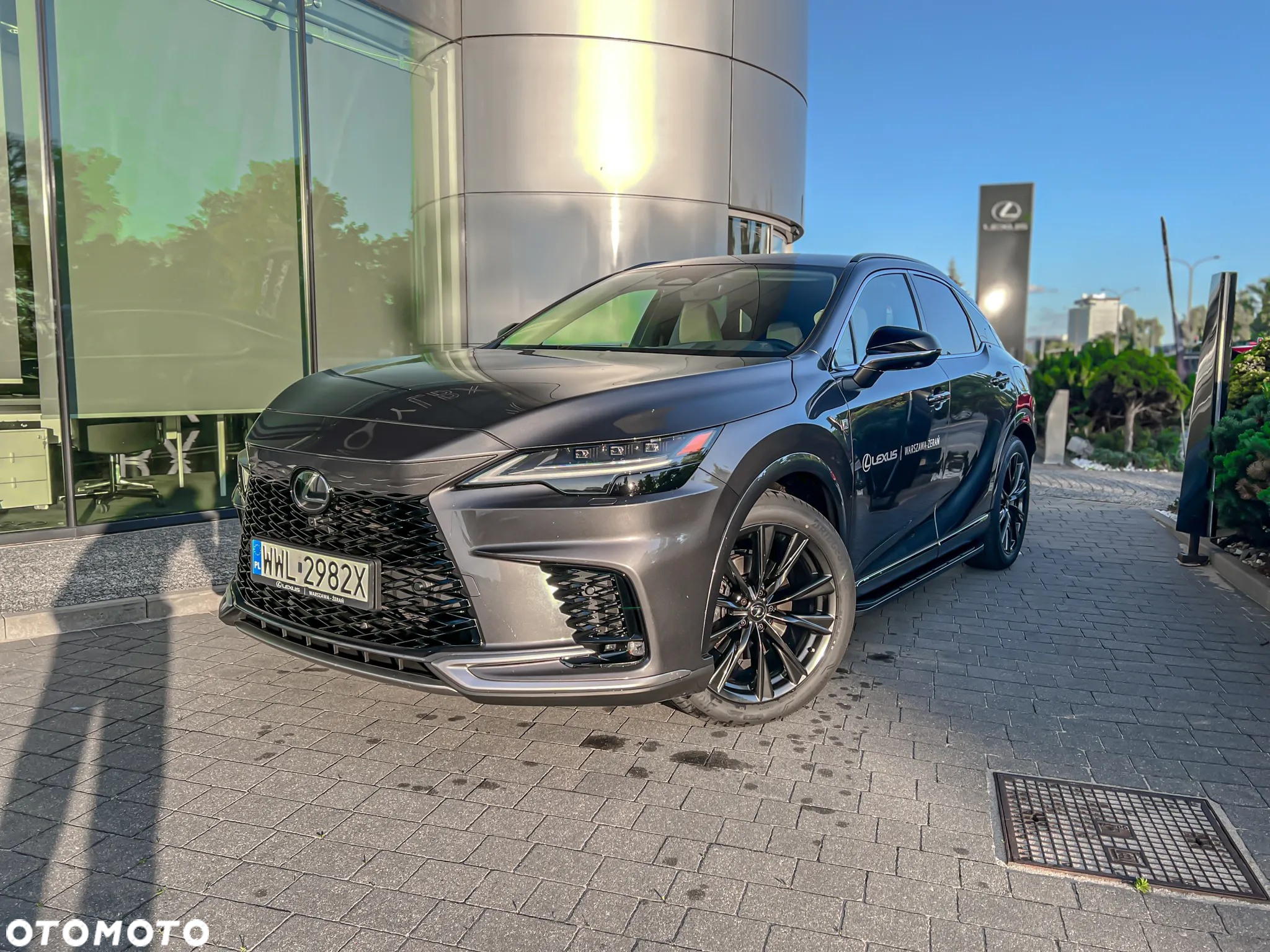 Lexus RX - 6