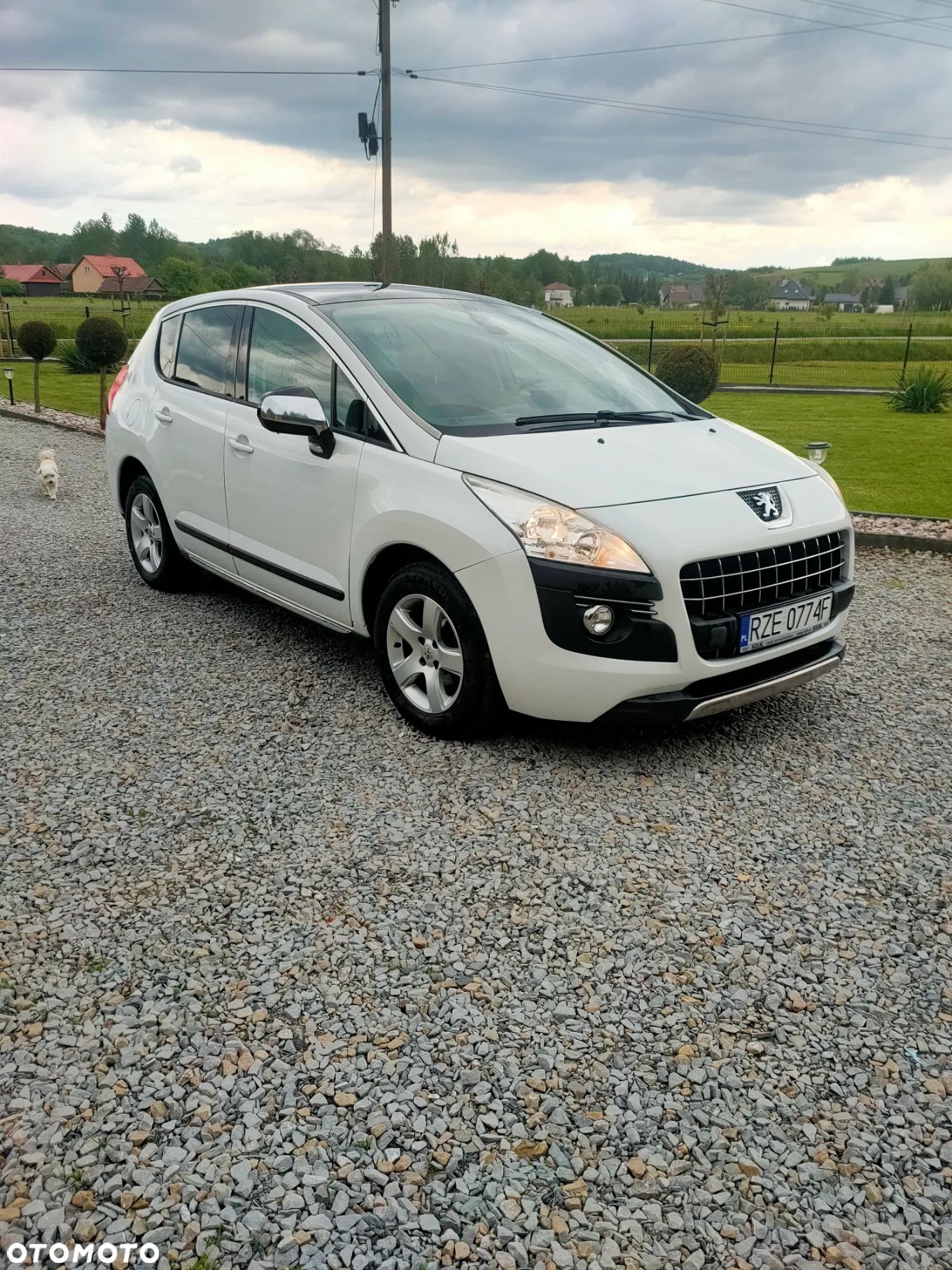Peugeot 3008 - 1