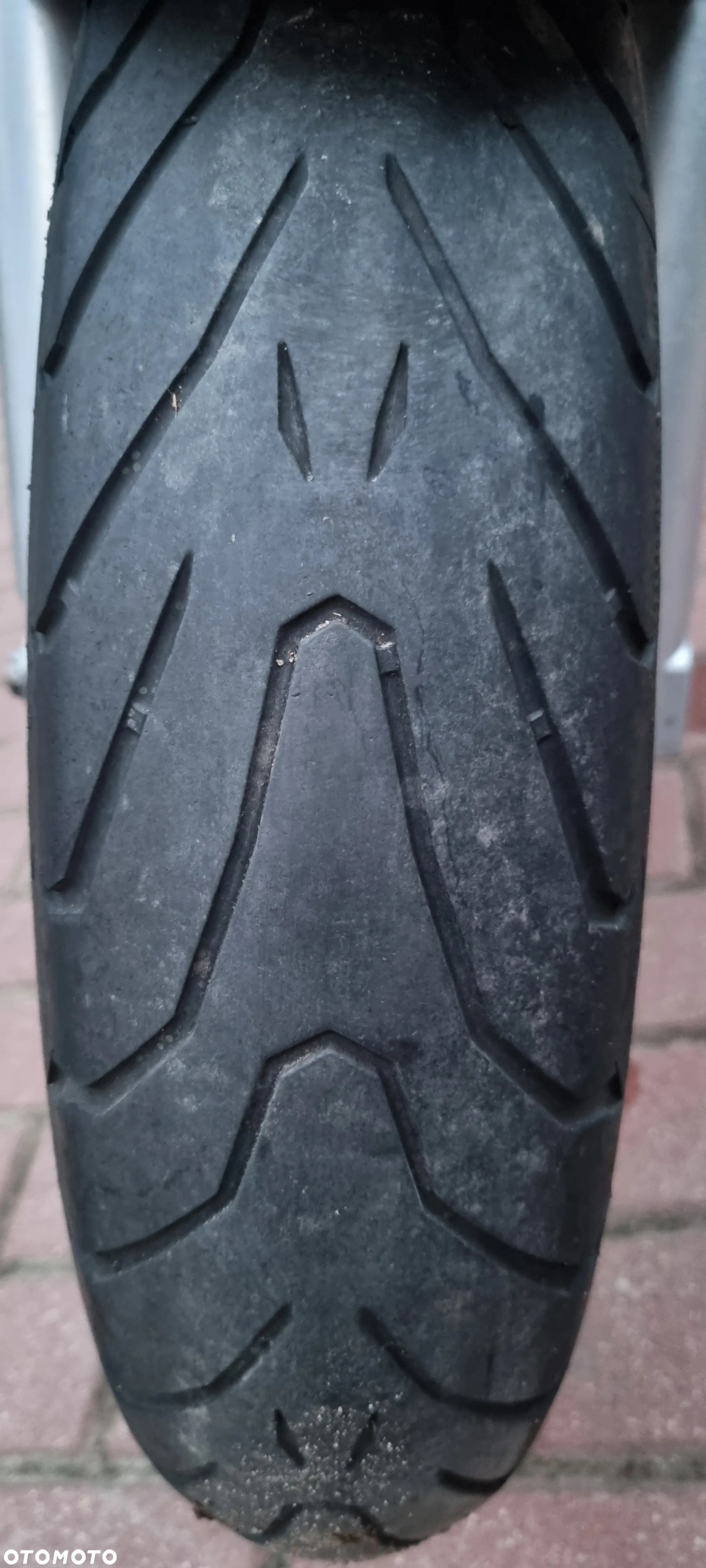 Suzuki SV - 19