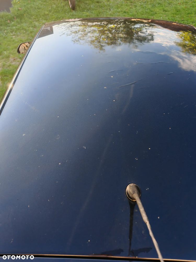 Volkswagen Polo - 17