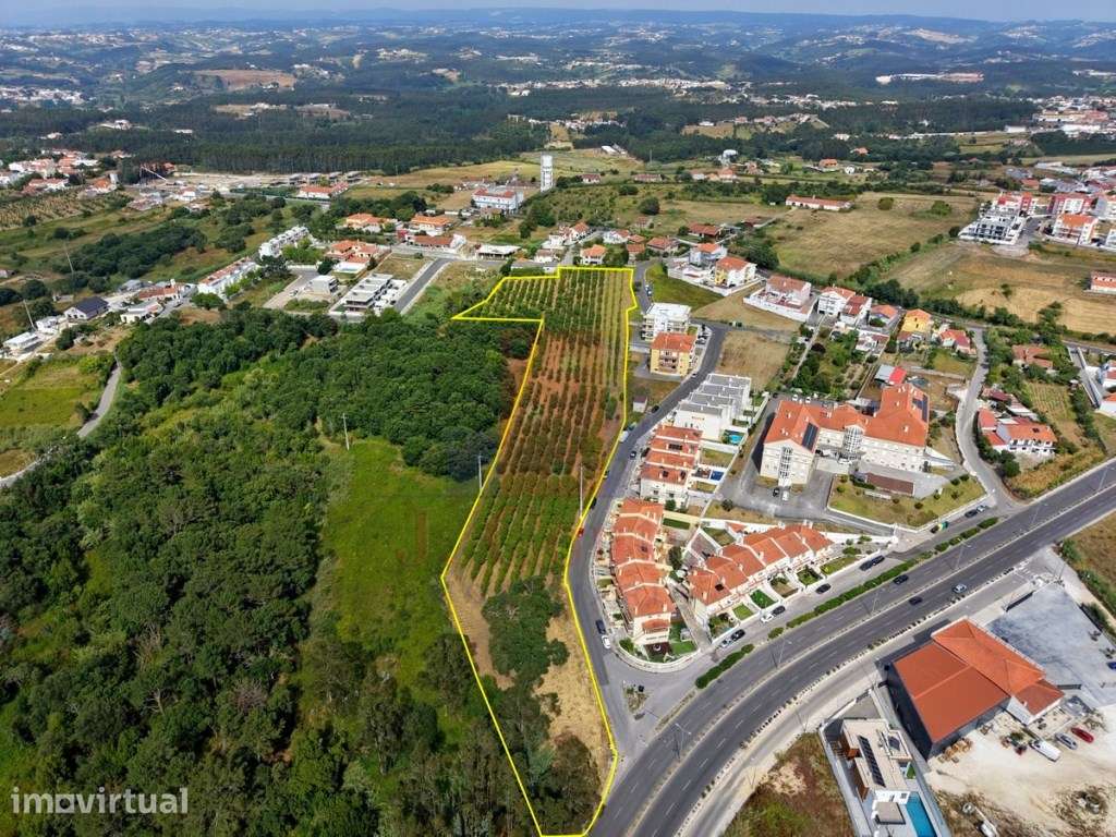 Terreno Urbanizável em Caldas da Rainha - Grande imagem: 2/12
