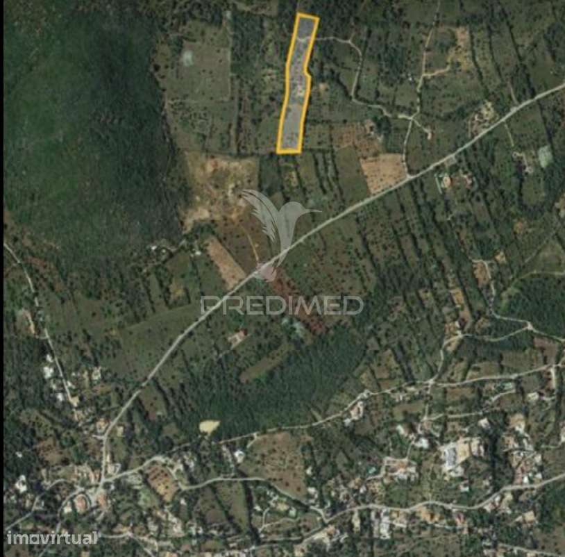 Terreno Rustico em Campina/São Brás de Alportel - Grande imagem: 2/10