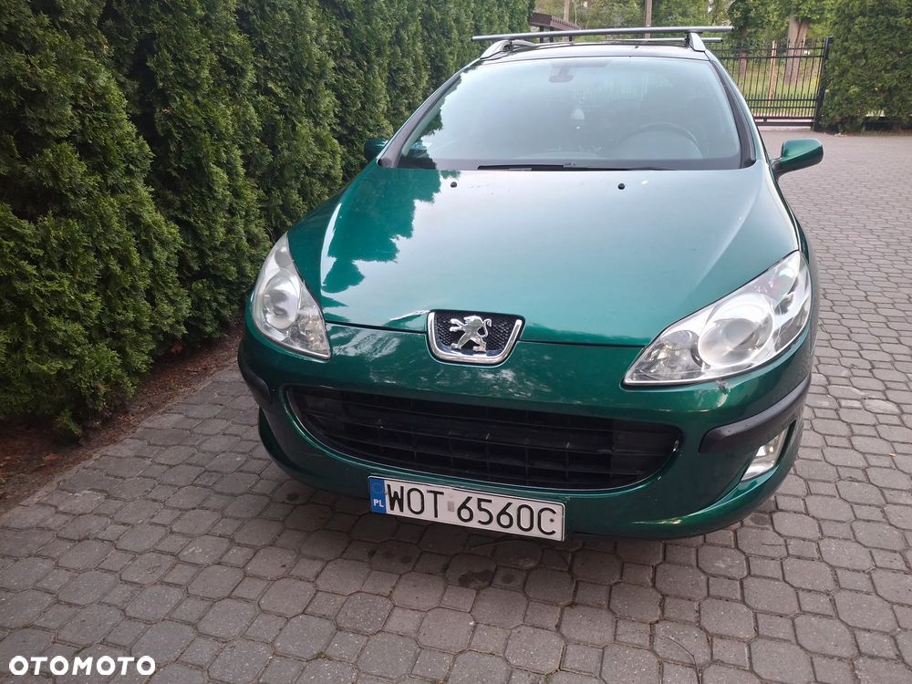 Peugeot 407 115 - 3