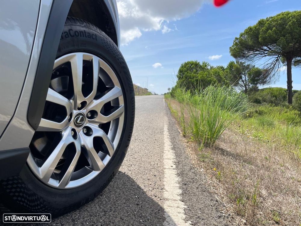 Lexus NX 300h Executive+ - 16