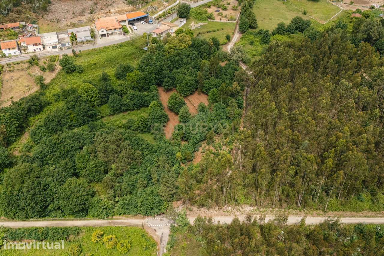 Terreno Rústico com 4.700 m² junto à Ecopista do Vouga – Arcozelo das - Grande imagem: 4/16