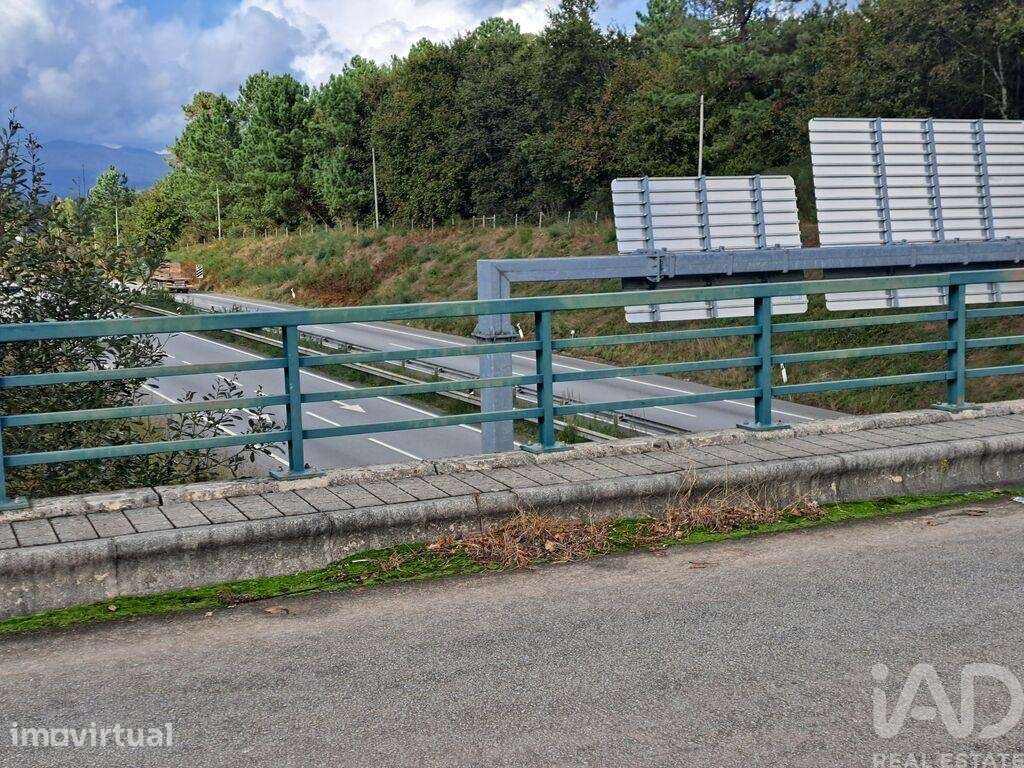 Terreno em Palmeira de 36000,00 m2 - Grande imagem: 4/21