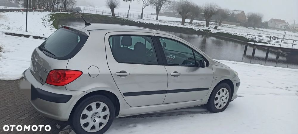 Peugeot 307 - 5