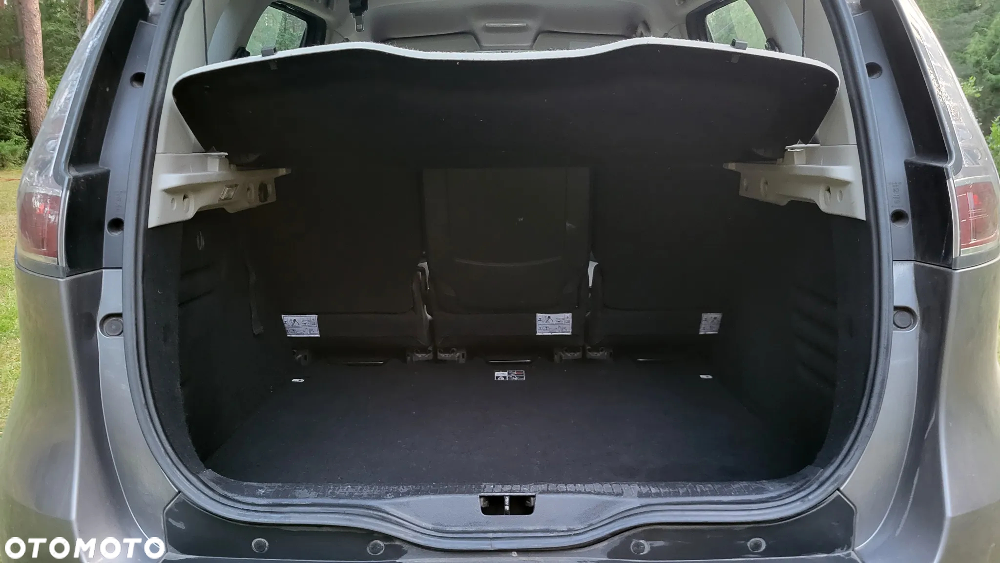 Renault Scenic - 5