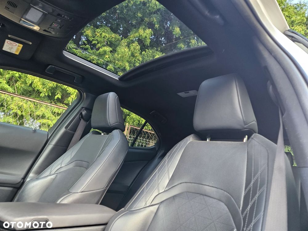 Lexus UX 250h (E-FOUR) Luxury Line - 14
