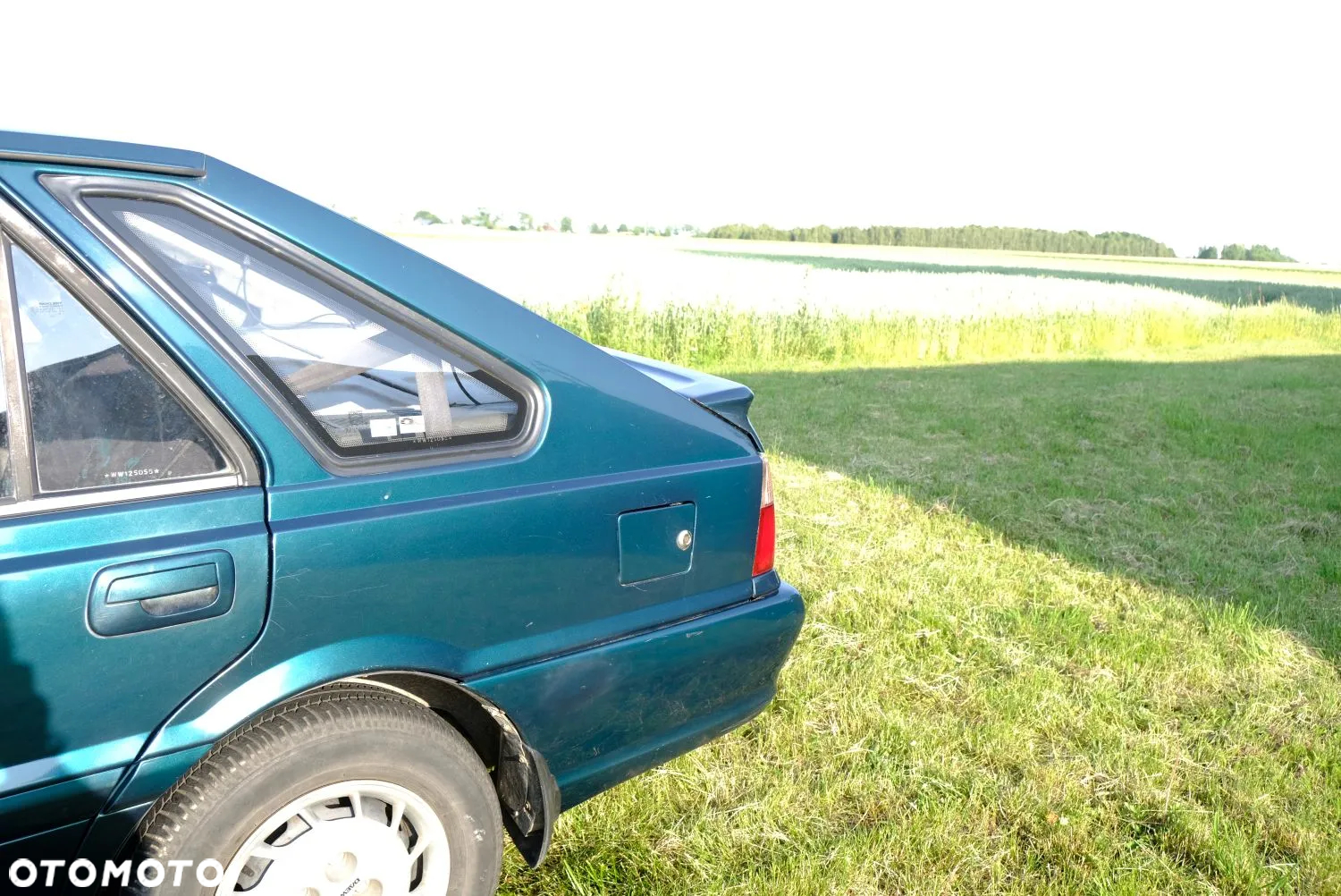 Polonez Caro - 11