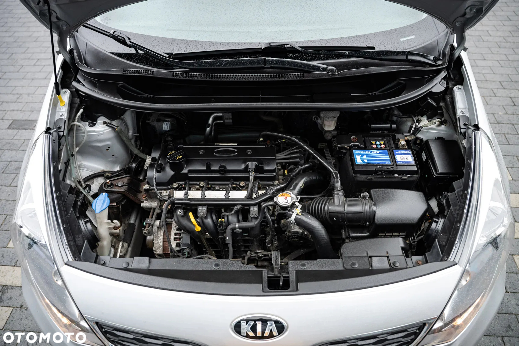 Kia Rio 1.2 Dream Team Edition - 26