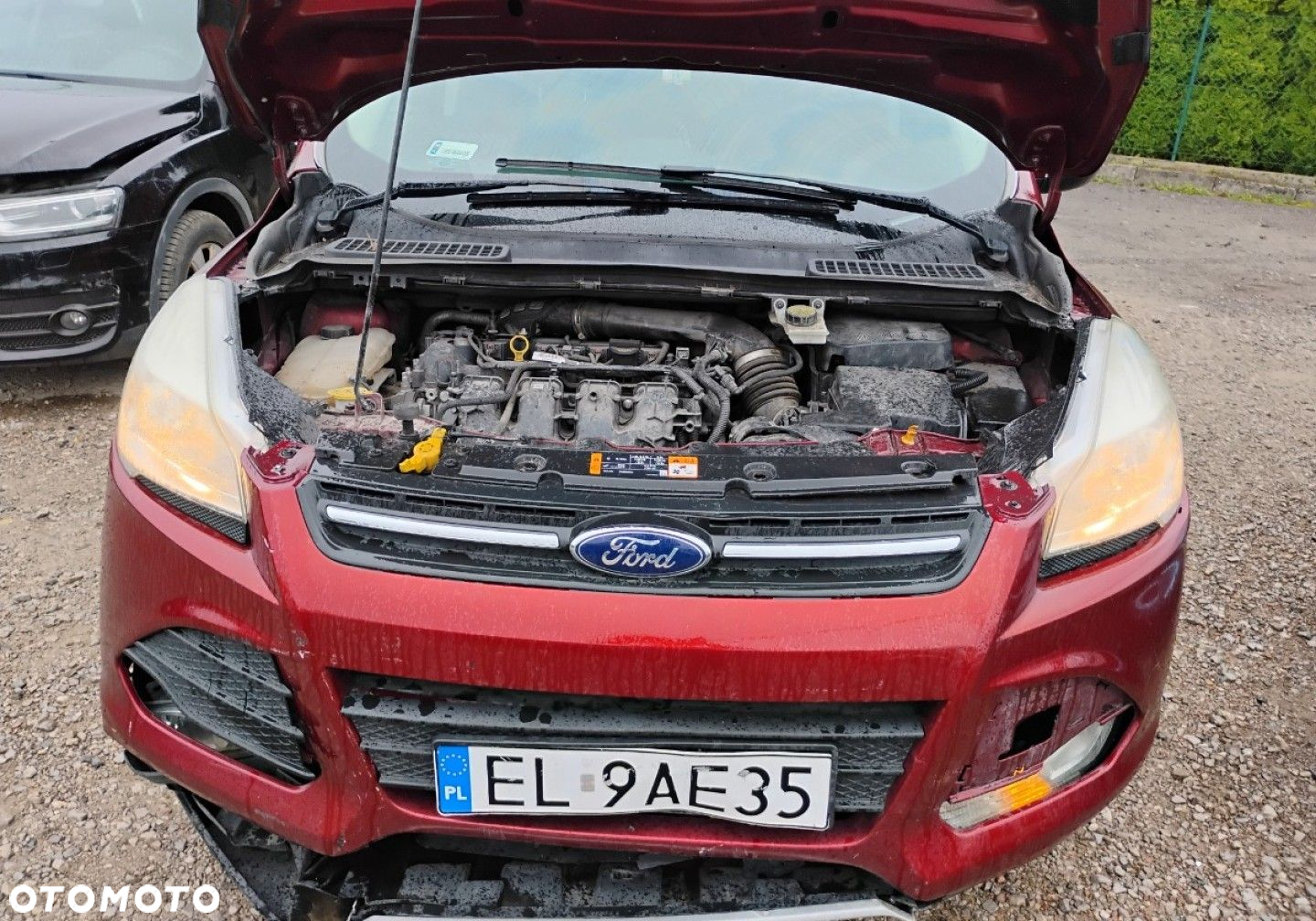 Ford Escape - 6
