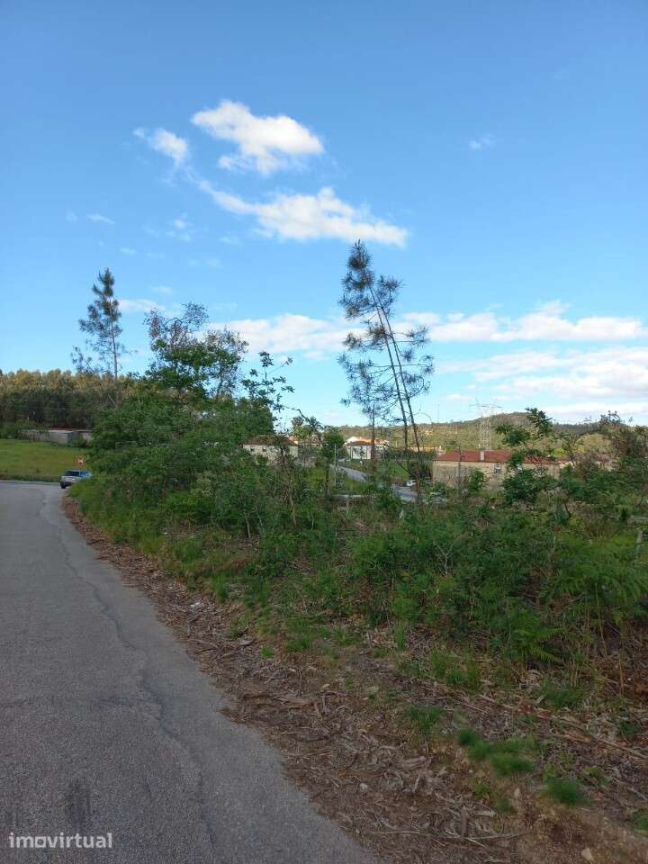 Terreno Rústico com viabilidade construtiva em Escariz - Grande imagem: 4/6