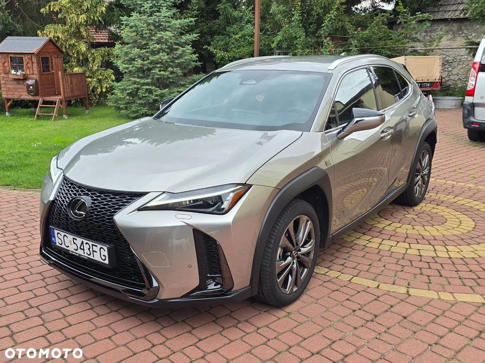 Lexus UX 300h F Sport - 1