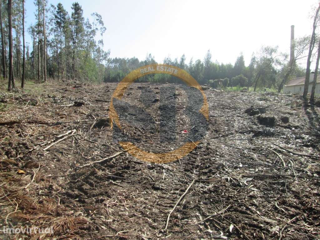 Terreno em Santa Maria da Feira - Grande imagem: 2/5