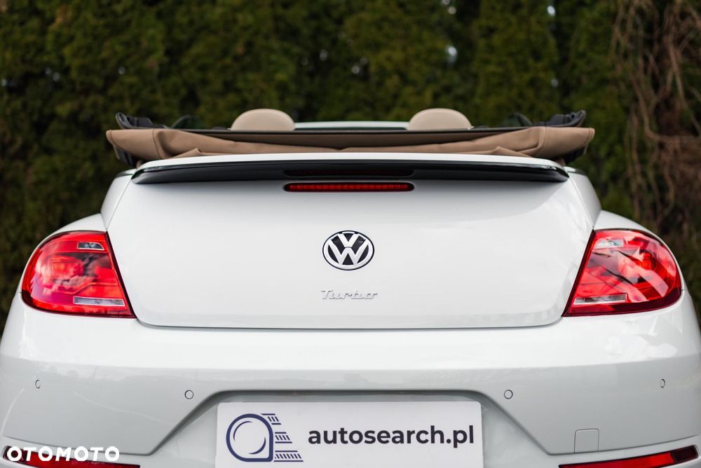 Volkswagen Beetle - 39