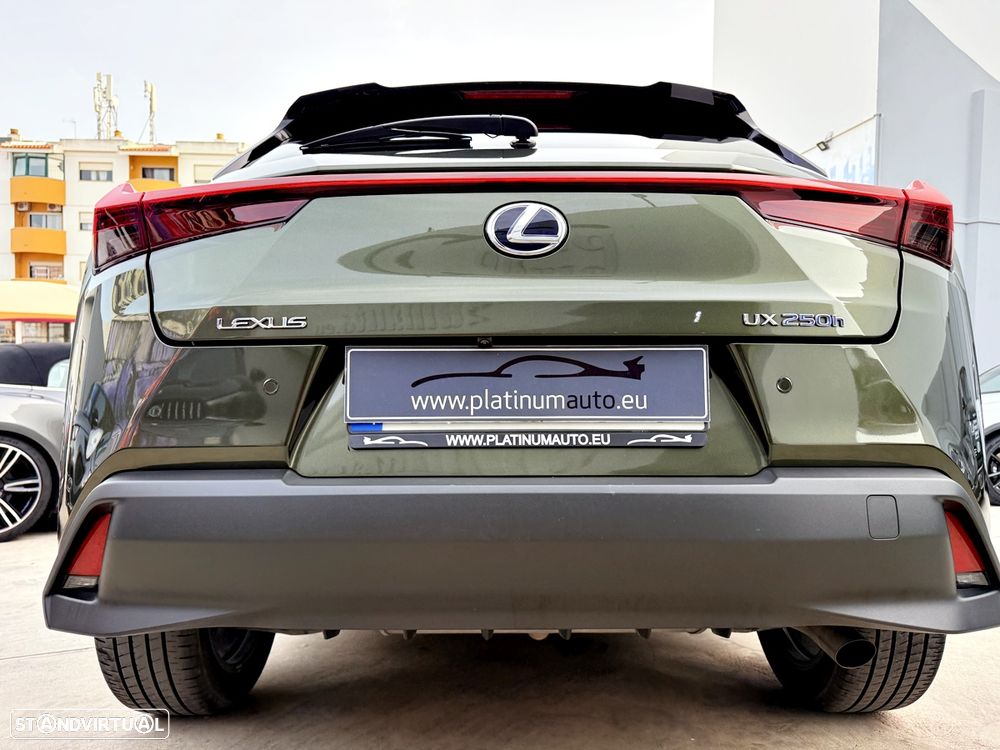 Lexus UX 250h Special Edition (LCA) - 57