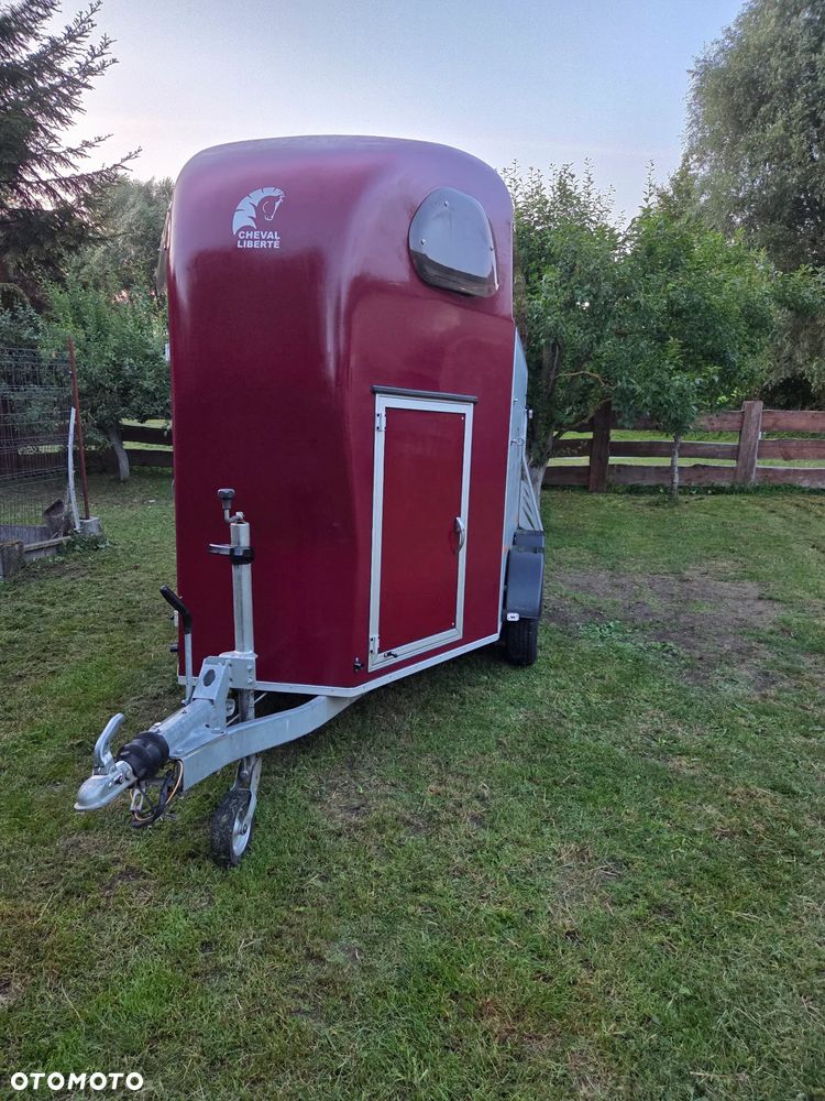 Cheval Liberte GOLD PULLMAN V2 - 3