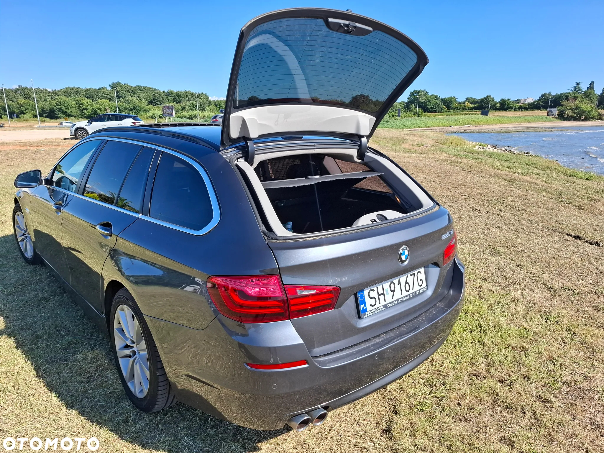 BMW Seria 5 520d Luxury Line sport - 5