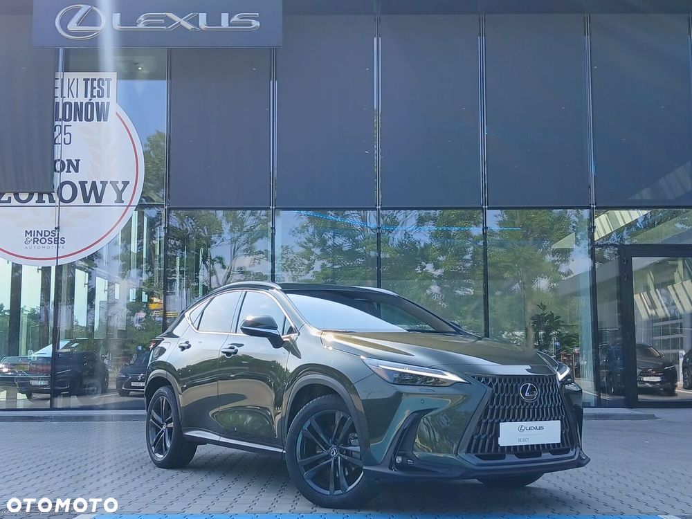Lexus NX - 1